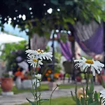 Ifigenia * Skala Potamia (Thasos)