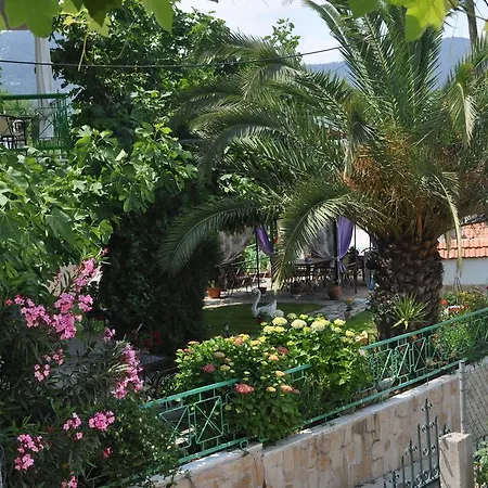 Ifigenia Apartamento
