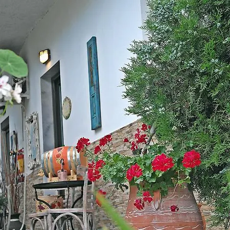 Ifigenia Lejlighed Skala Potamia (Thasos)