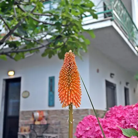 Ifigenia Lejlighed