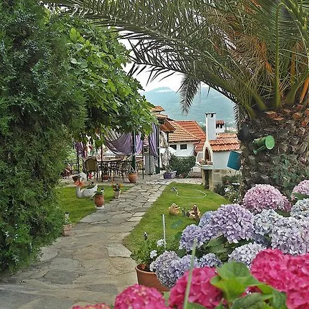 Studios Ifigenia