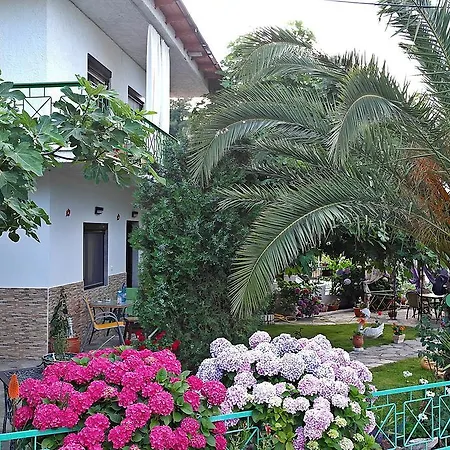 Studios Ifigenia *