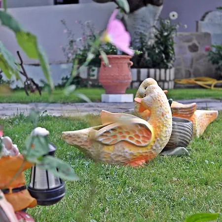 Studios Ifigenia * Skala Potamia (Thasos)