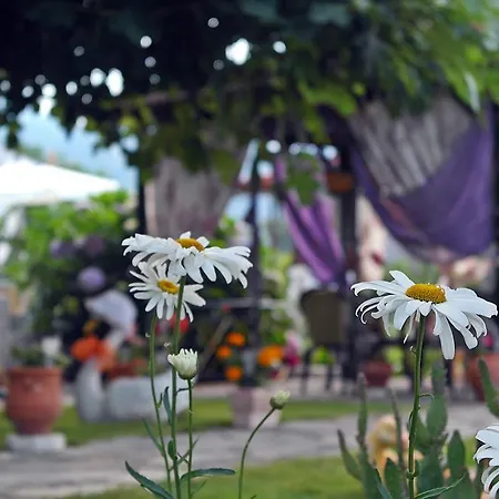 Studios Ifigenia * Skala Potamia (Thasos)