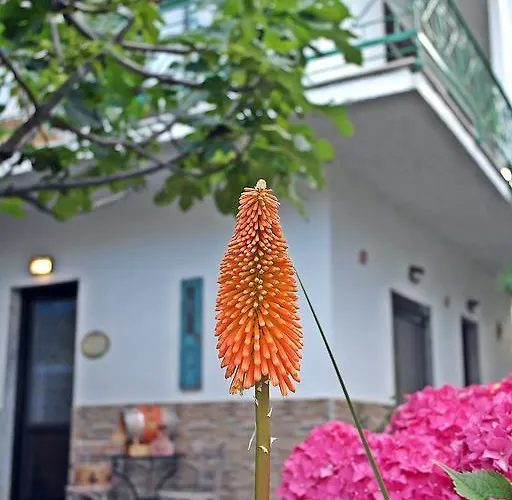 Ifigenia Apartamento