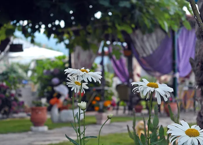 Ifigenia * Skala Potamia (Thasos)